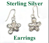 Sterling Silver Earrings